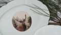 DSC04154.JPG