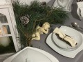 IMG-20231028-WA0035.jpg